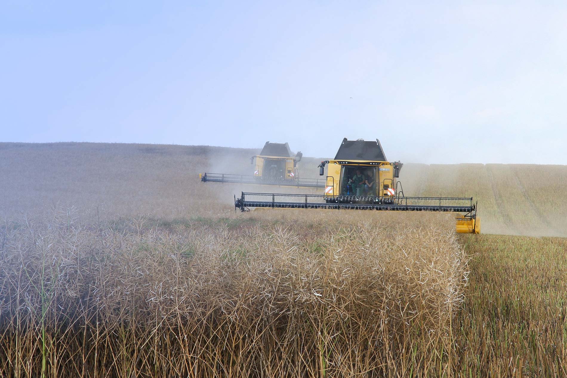 现代种业创新体系超级场景