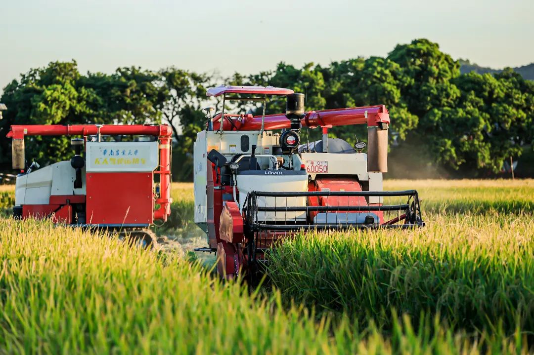 【典型案例】大吉沙岛无人化智慧农场应用场景